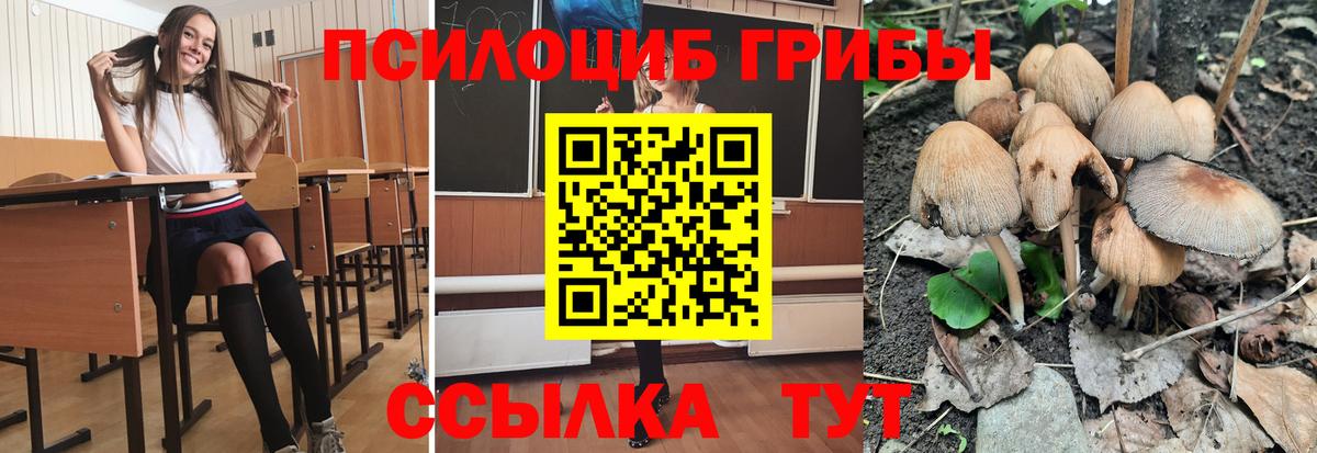 Псилоцибиновые грибы прущие грибы Фролово