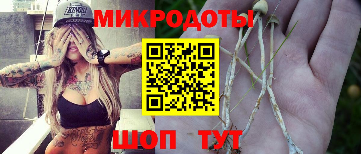Фролово  Галлюциногенные грибы Psilocybe  магазин продажи наркотиков  Вход с VPN 